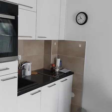 Ruzica Баня-Ковиляча